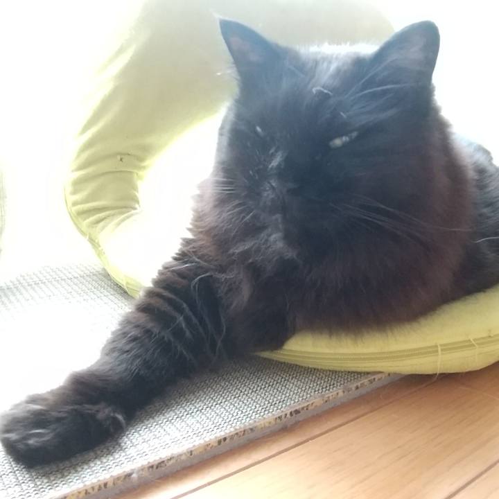 7da1d309 de43 4b71 8f01 53604c96e968 1653609557599