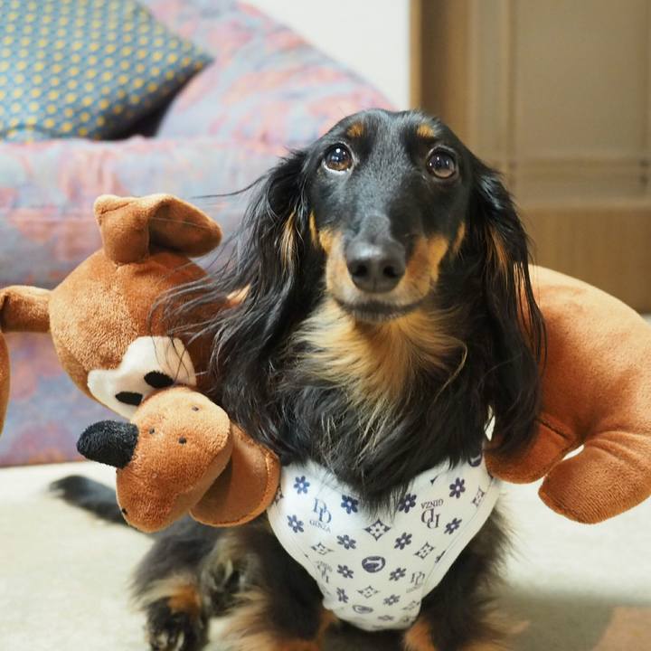 7da21281 2e4f 4fea bda3 77046db7810a 1525915939451