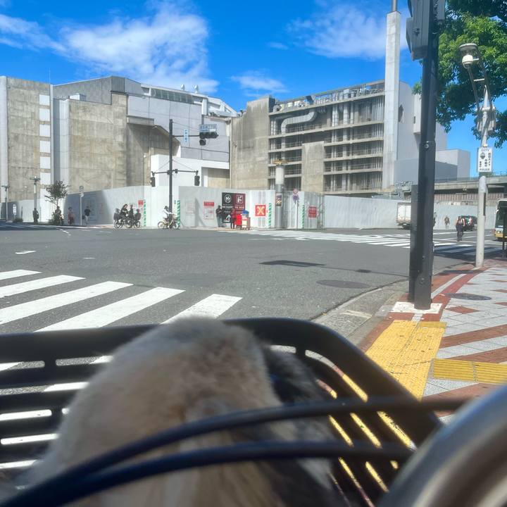 7da2515f 60e7 4f50 b962 56575327929d 1724364801114