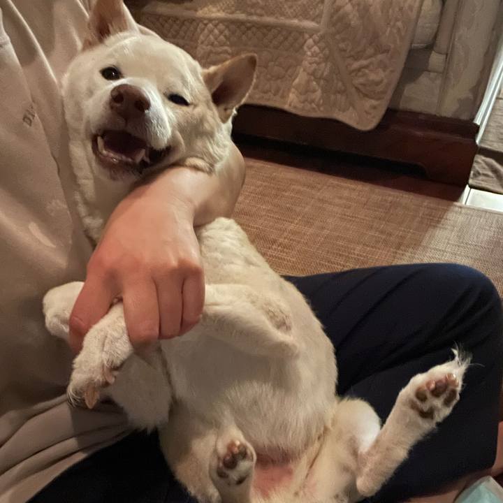 7da25bd7 4257 4484 b9de 7cd5d3964da5 1674470771192