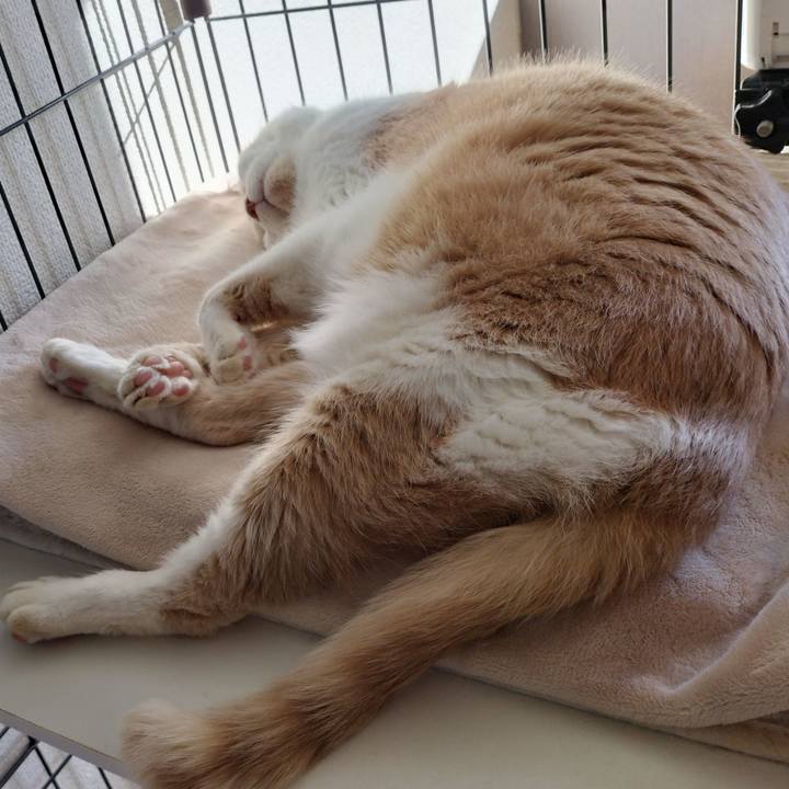 7da26c32 0a3d 4558 901a 0354967cb716 1638063565908