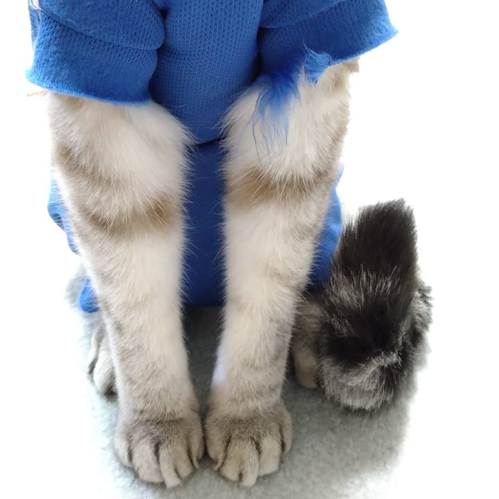 7da28e96 7f37 4188 bd9a 5a01288b40f1 1681648280519