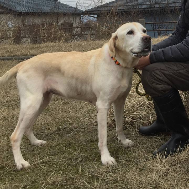 7da2ab2b ff49 41ac 9788 f30137810f5e 1553592394063