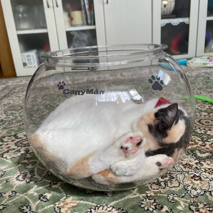 7da2b84b 8959 4ecd 8dea 3861badfb820 1721950105278