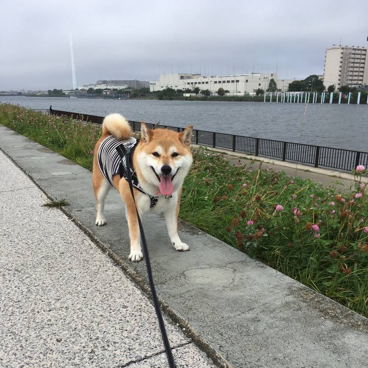 7da2bb54 0d57 4968 8612 fa1e8442183f 1530393283093