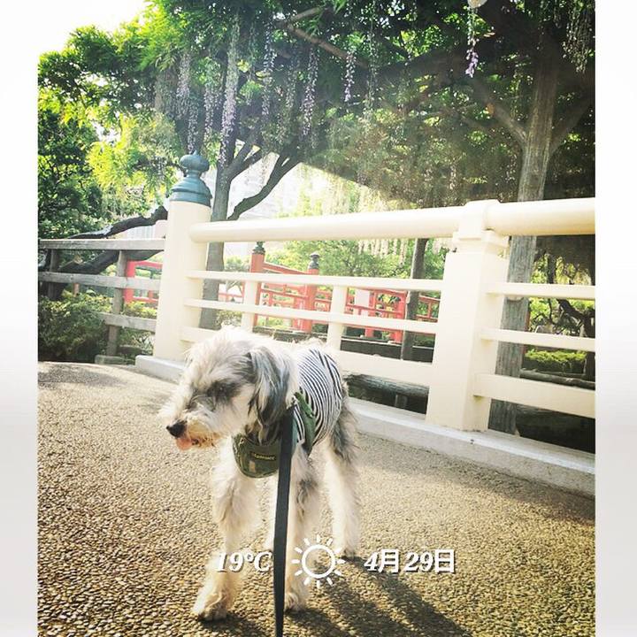 7da2c396 74f3 41b1 81b4 036463a6b312 1524956681637