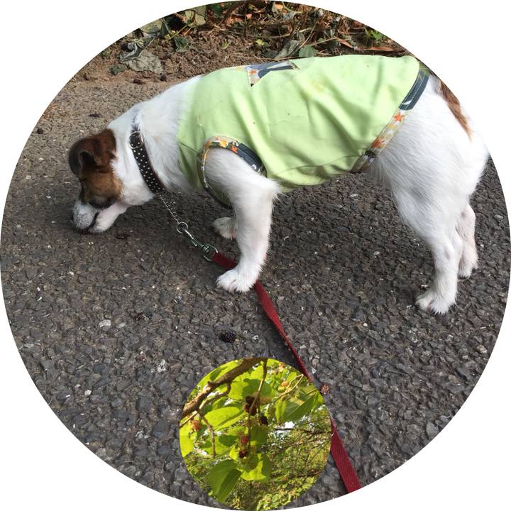 7da2e8ae d971 4d67 84c4 580b1a003fbd 1526805023031