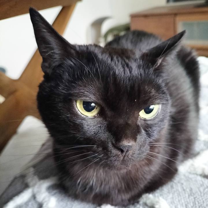 7da30247 1dbf 4984 b1a7 6c7538dac796 1710211499690