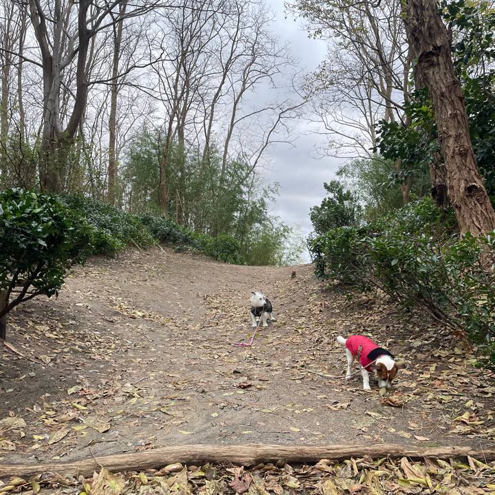 7da309ad 60f8 48c5 a769 800451e8833d 1734305039328