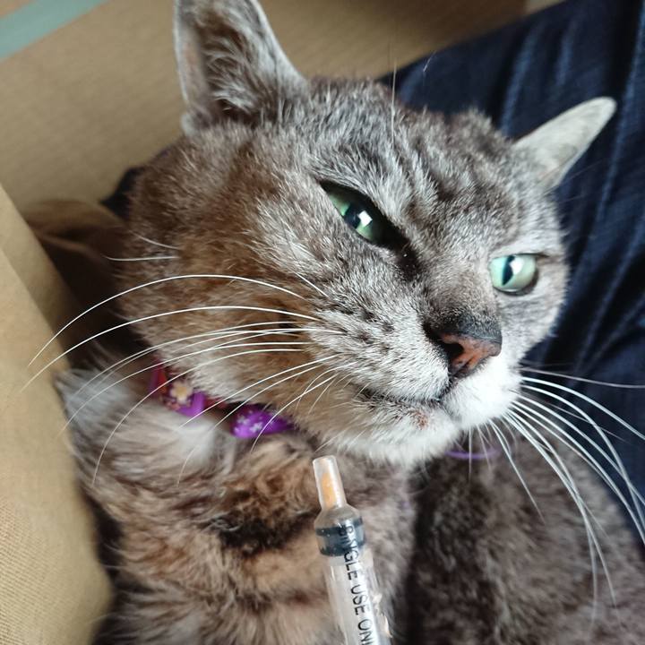 7da3ff1d dd0d 4c10 8914 954e7c65c8fd 1595279574536