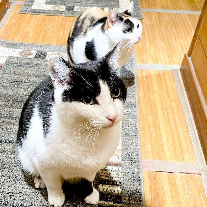 7da423e9 2b0f 446a ad54 214064a2c75f 1659657455377