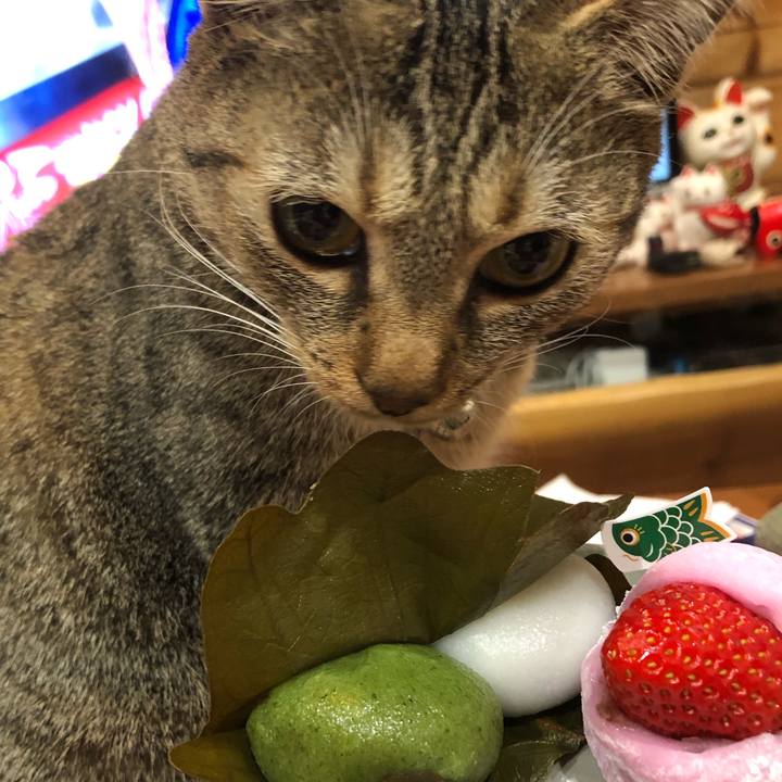 7da47256 8bfd 43be 80c1 7581af9782dd 1620217738790