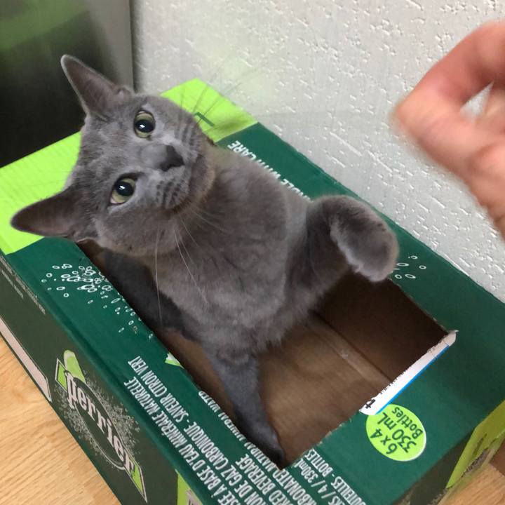 7da47e56 cdb8 4582 a876 d83f1e33600b 1634608412228