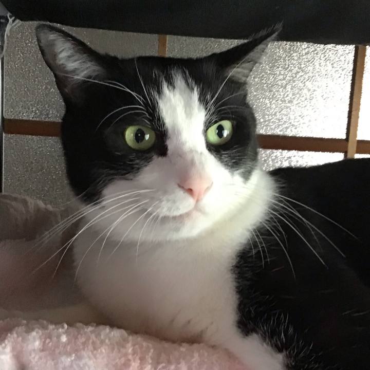 7da4aa5e 963a 4370 a386 ad67b0141007 1759910460705