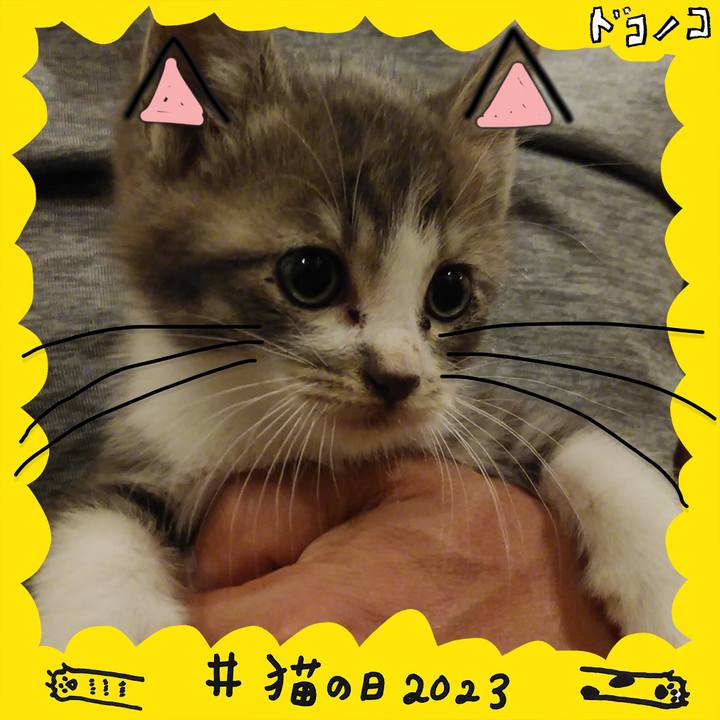 7da4b588 3340 4228 8591 3194753b6ecc 1677070699956