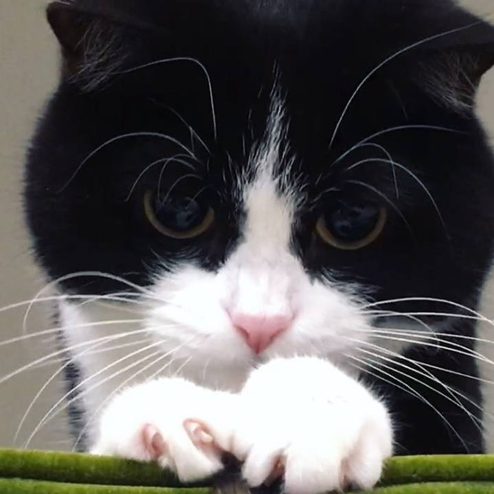 7da4c412 8eff 411f abdf dcf2c589dda2 1640434141687