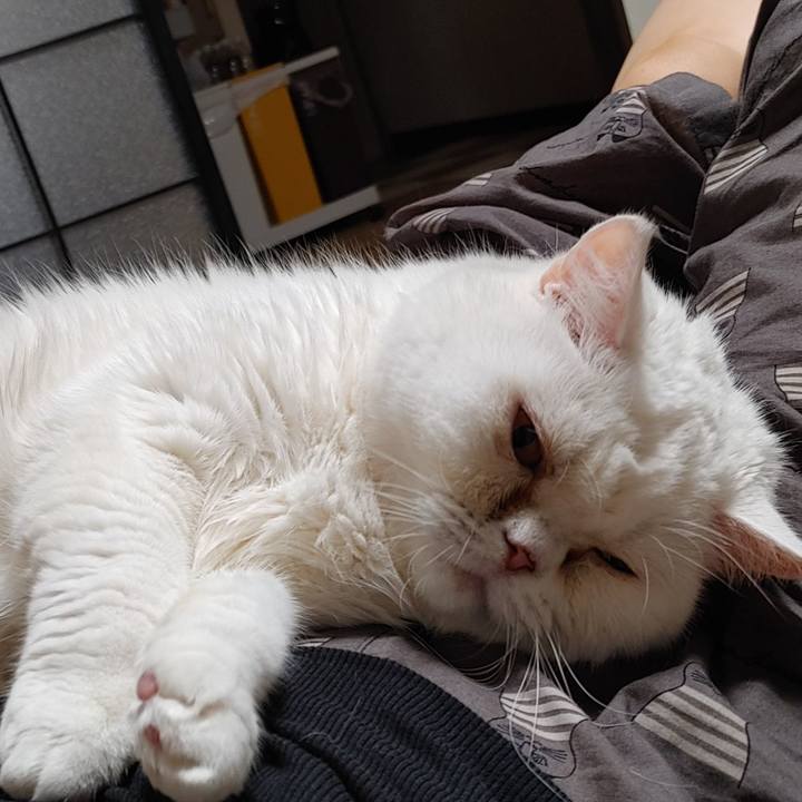 7da4ed0c 5da5 48c0 a0f6 af5e14468e8d 1714899516298