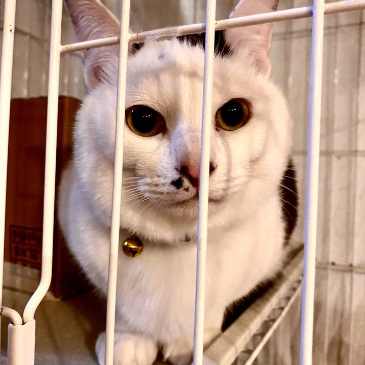 7da5186e 1eb4 4bde 82ec b52a9cd676c7 1708769336761