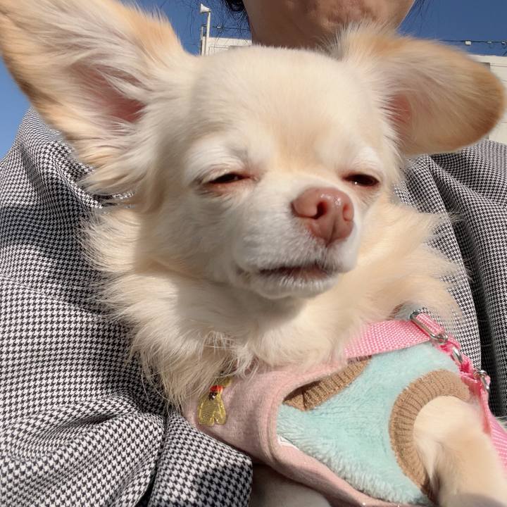 7da52ec9 1ea3 4f47 8625 456703ccbed0 1731330936925