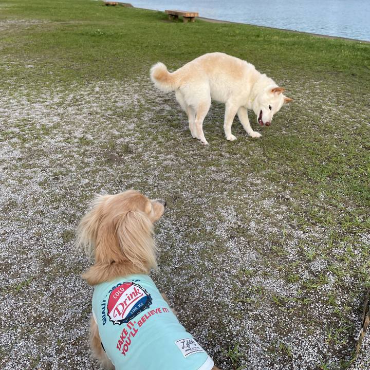 7da5383b 17b9 4721 a416 091ebfdb08b6 1652526432119