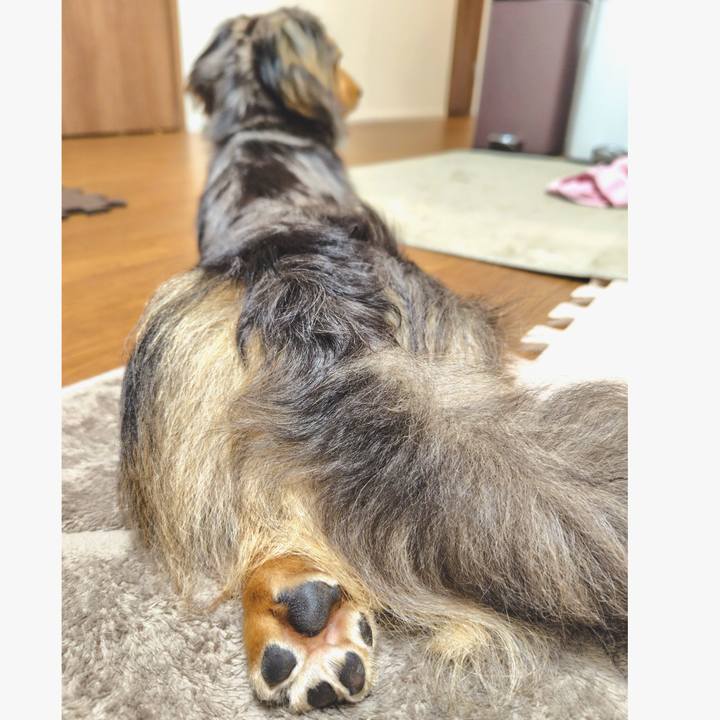 7da55cfa 1180 45b8 9f5b 8c1a35282451 1716421264792