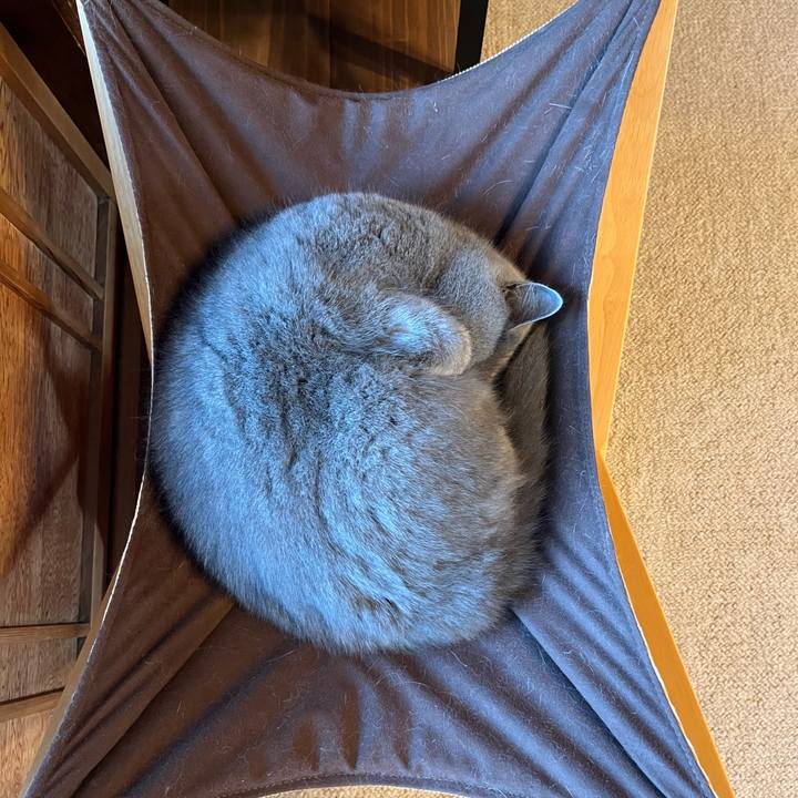 7da580c2 8a3a 46fb a008 48fa86c072e6 1644237140357