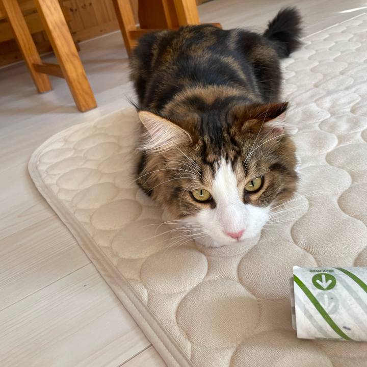 7da5938b 239f 4076 985b 117459161314 1651530946175