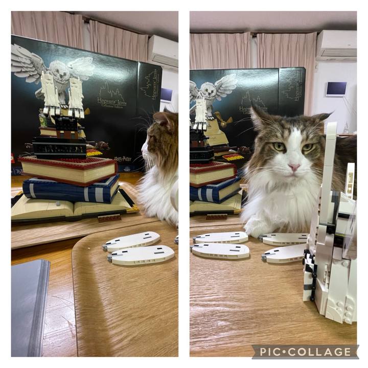 7da59584 bf5f 4e94 8ca1 20480a579d2a 1702197618649