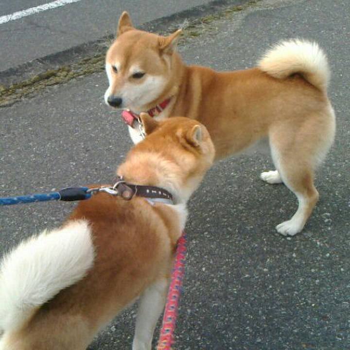 7da59bdf d32a 4122 9848 adf048b357e1 1520049752215