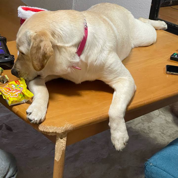 7da5b417 521a 40ff a1fd 89704c30c61b 1640433334879