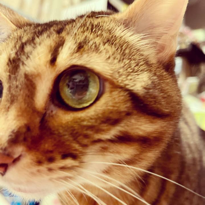 7da5facf c5ea 4095 9343 bd282b7d9ff1 1649472582643