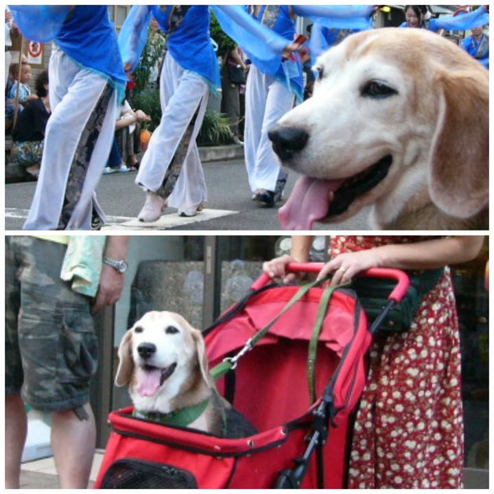 7da61135 2a9a 4d76 adee c490a7586e6f 1667524074502