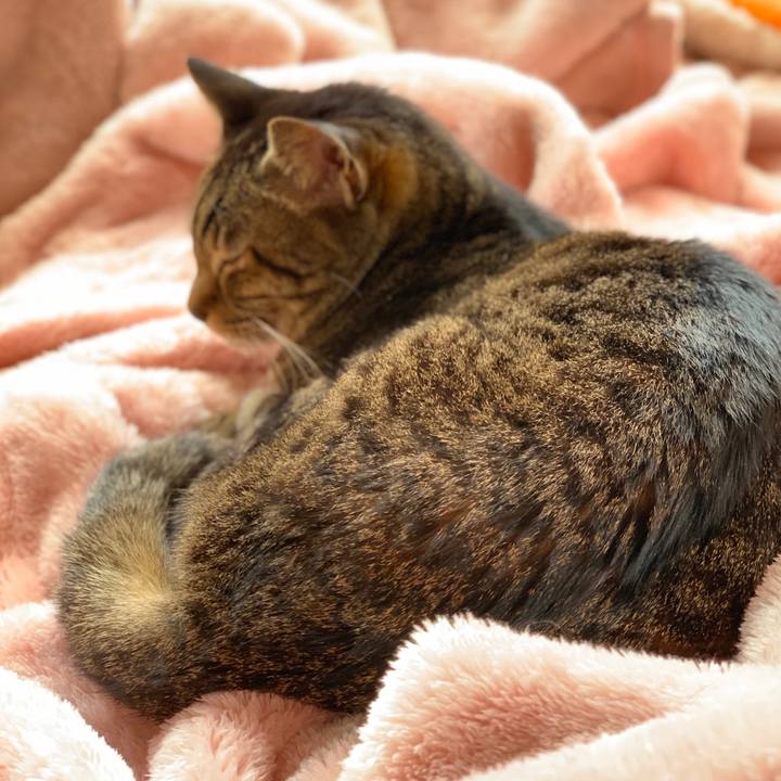 7da63ed6 c077 4918 aaef d73534c3ae57 1587260167546