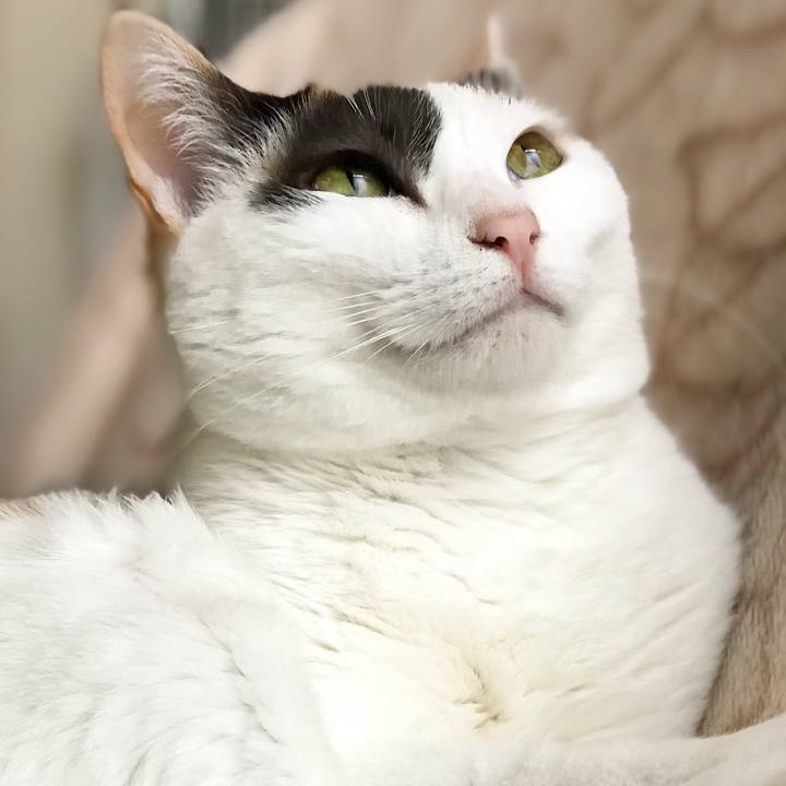 7da650b8 aae9 4fe3 847b 0b74da428fad 1527344693091