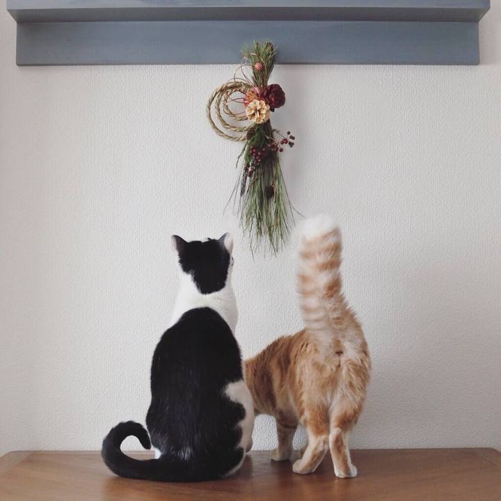 7da66c5e a5e1 4e07 b1f5 a04d40af6a80 1578019862811