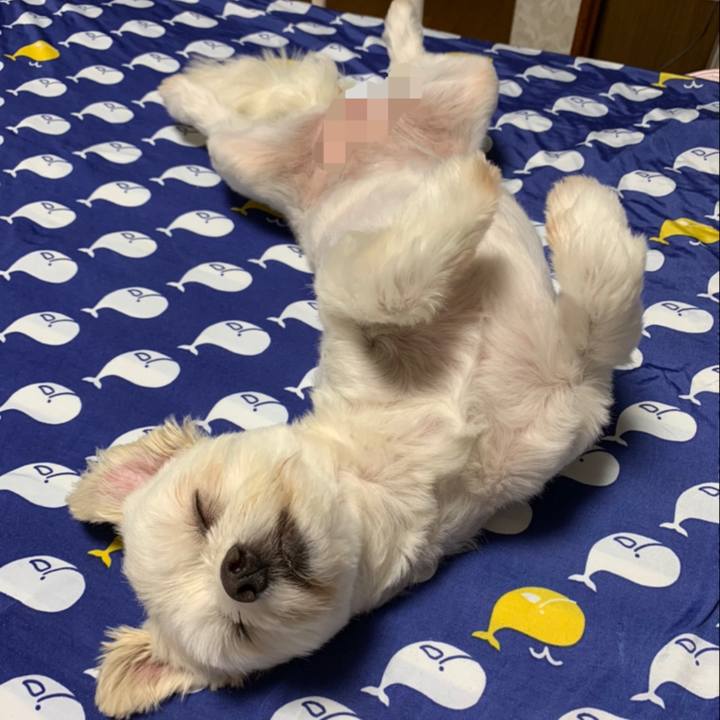 7da69604 e353 4869 89ff 8b72068974ba 1626532088589