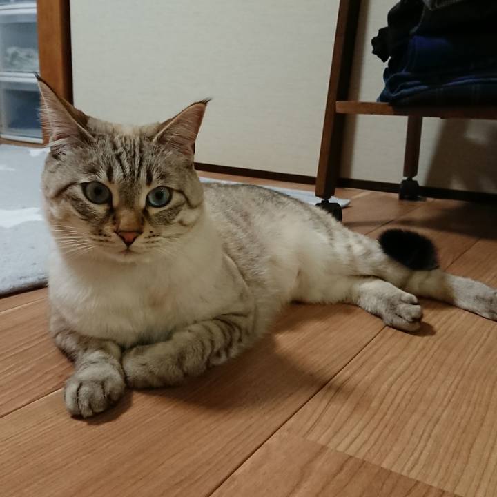 7da6ac70 64cb 44f6 b9ad 909e4cd38372 1512812286339