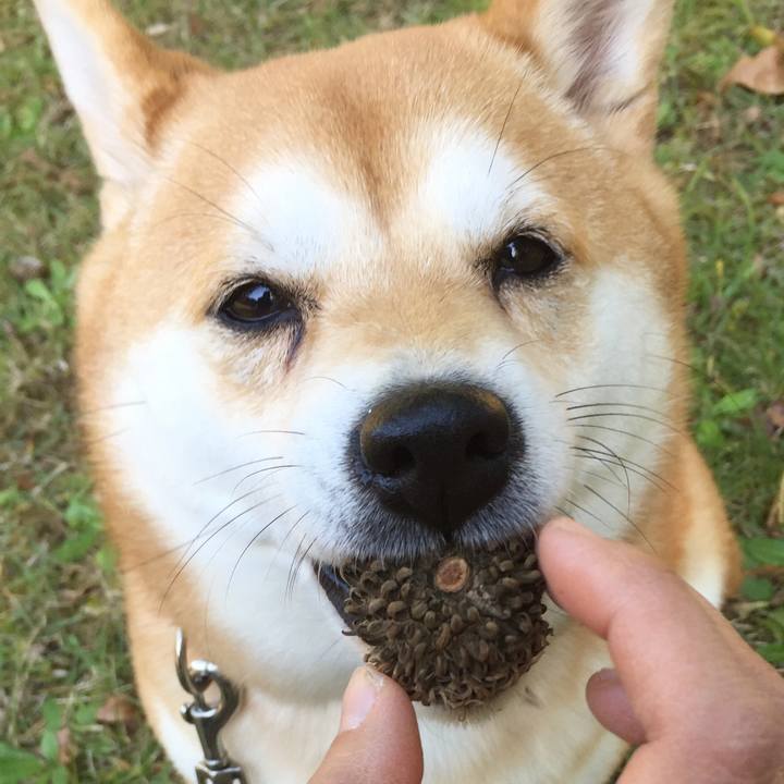 7da6b880 9472 4db0 9cc8 9bc954b244ce 1510549545618