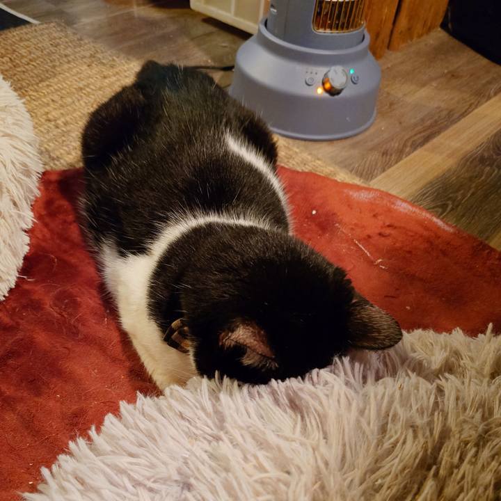 7da6bbfe bebf 420b 9c45 99ff2825a4ec 1761219907052