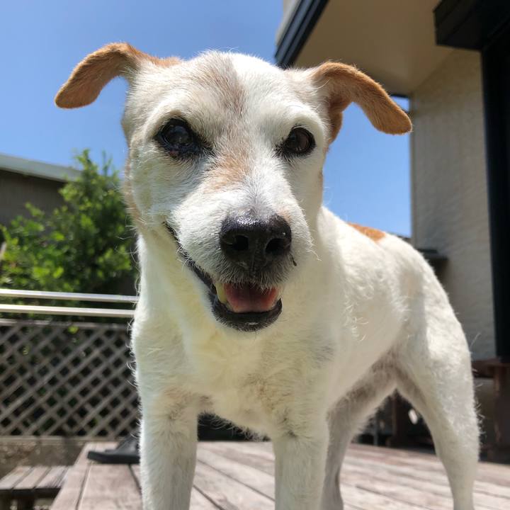 7da6cdfc 979a 42d2 b1e6 9962d8f01e57 1561348812808