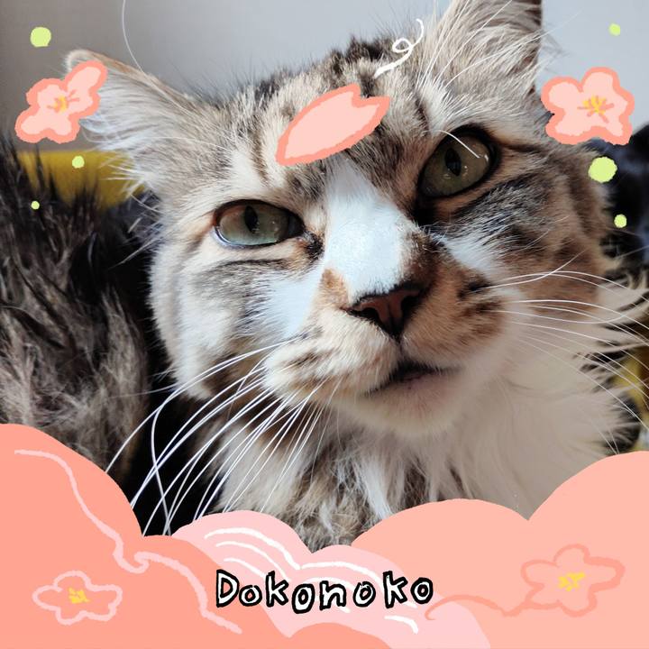 7da703d8 5686 4fcc a42d 89709af04e41 1775190455023