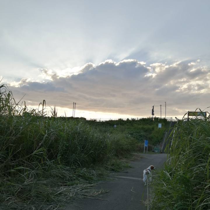 7da712ce 450a 4724 bd37 8aebf127b01e 1568547558396