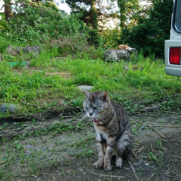 7da72647 1ac3 428e ab21 52fc966322d5 1595149127029