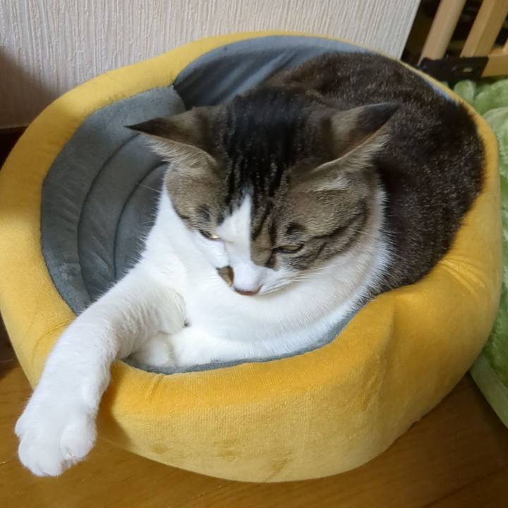 7da7269f 33b2 4ae0 85ed 0a98049e0312 1679411171938