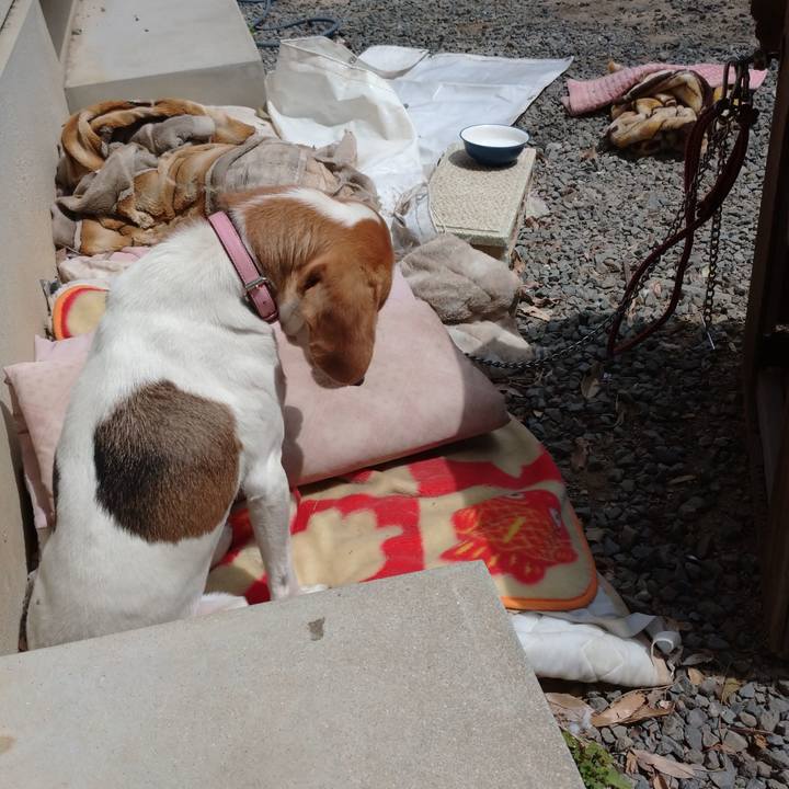 7da73b52 486e 4d2a a81c d4d9cb8a53a1 1586485654902