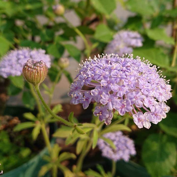 7da77acd d39f 4b02 9a5e 781316979f8b 1653968977557