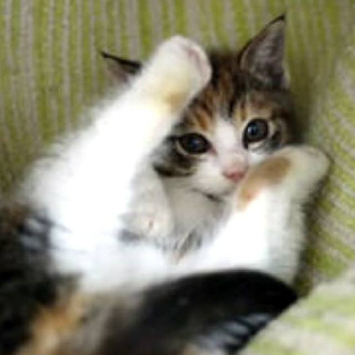 7da7b35c 7fb2 43cd 9102 f76515bed76f 1559342125260