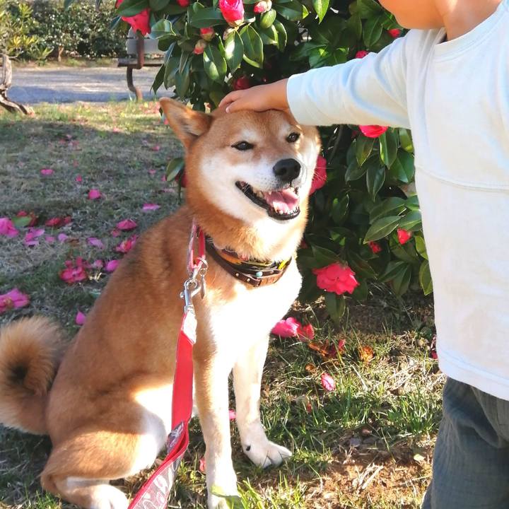 7da85ee8 0585 45a3 aaa0 73e9e86cdc97 1615807240361