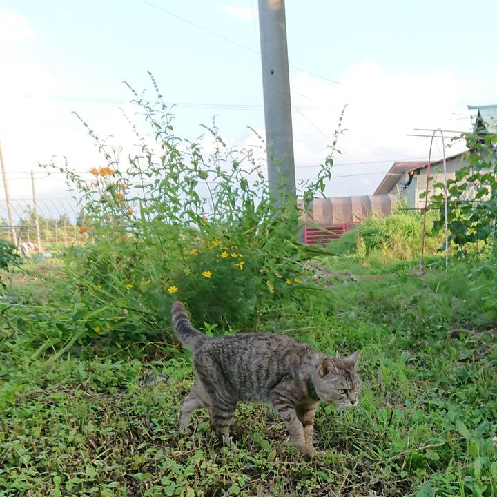 7da862e8 351a 4ccf ba5f 044d98240e0f 1564305430287