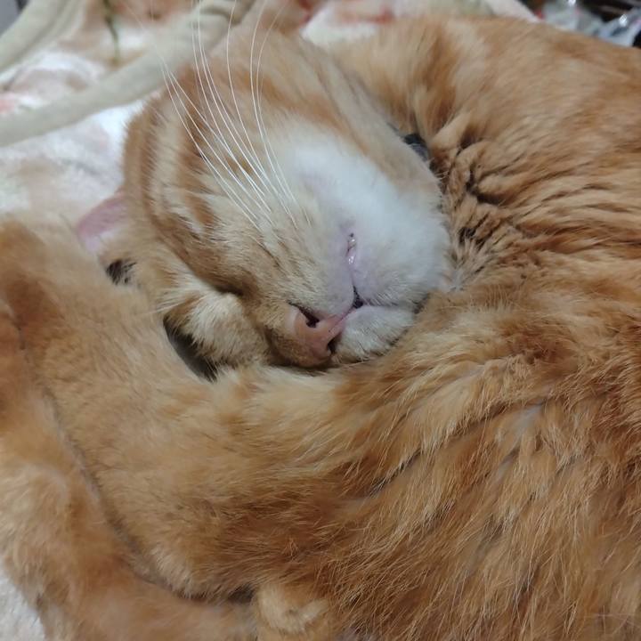 7da87288 da85 42d1 961b e5af84fd470c 1762428180001